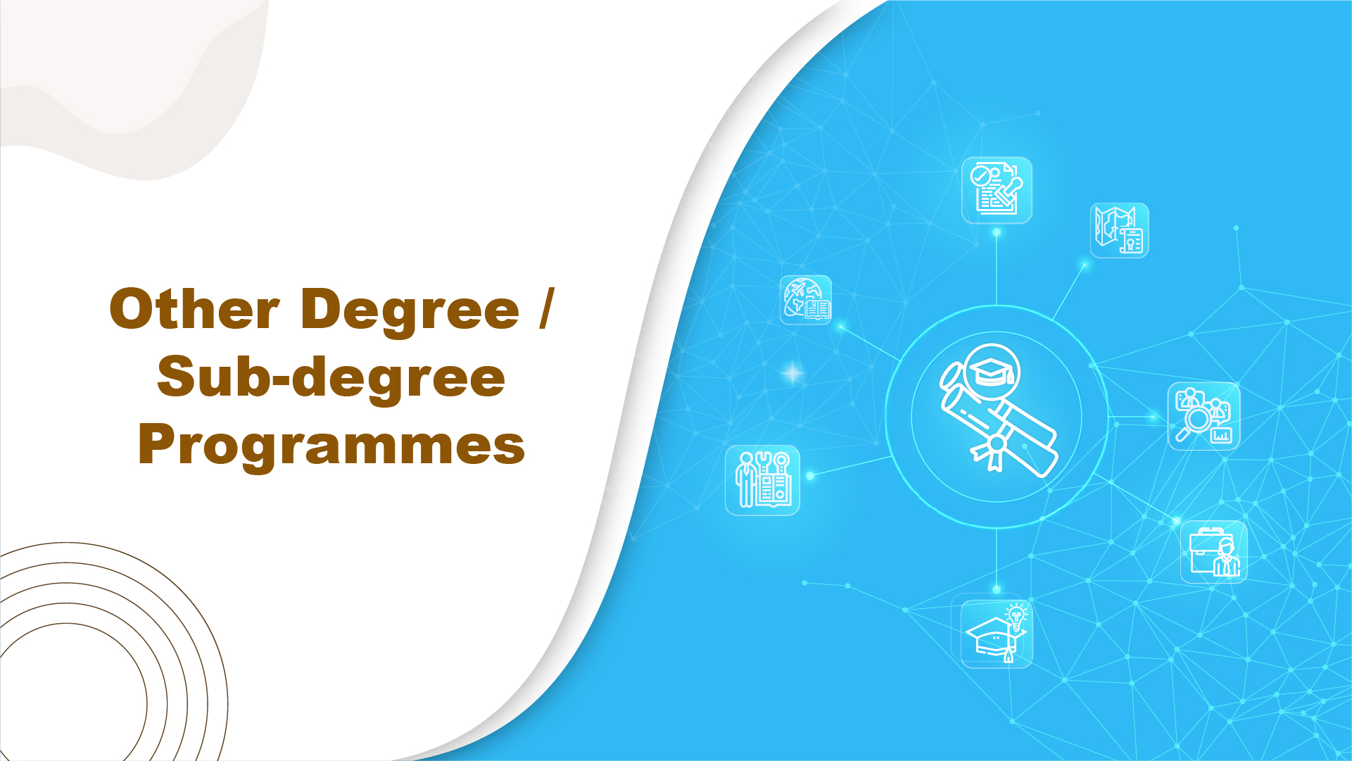 Other Degree / Sub-degree Programmes